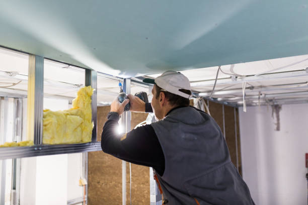 Best Commercial Insulation Contractor  in Pecos, TX