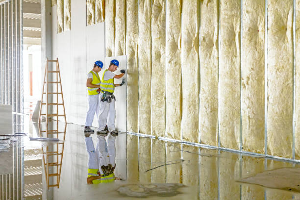 Soundproof Insulation Installation in Pecos, TX